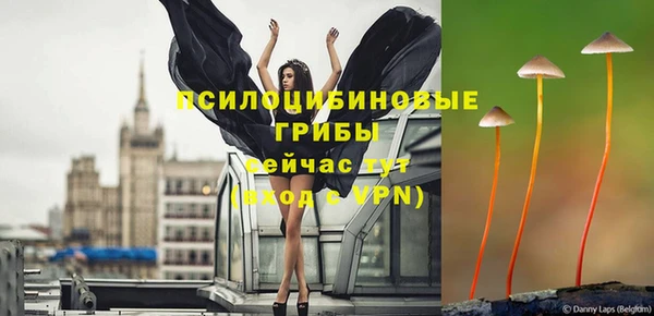 круглые Ладушкин