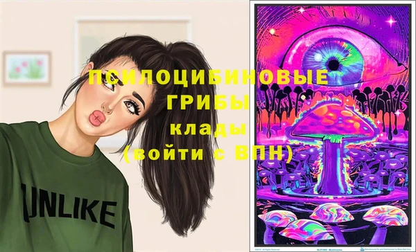 2c-b Лагань