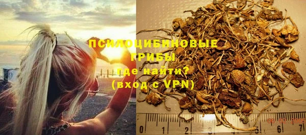 дурь Лабытнанги