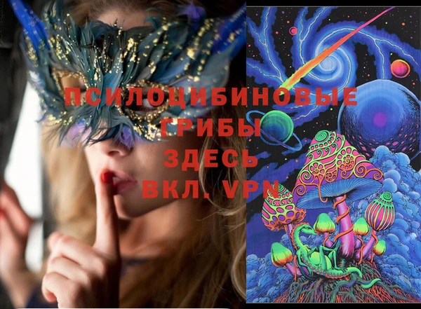 2c-b Лагань