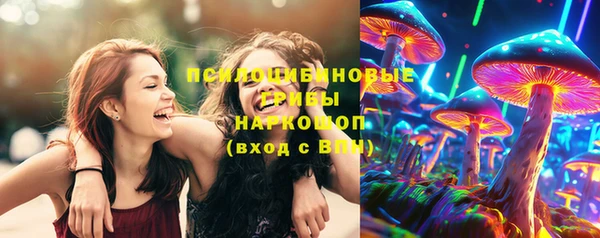 дурь Лабытнанги