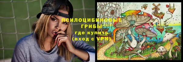 круглые Ладушкин