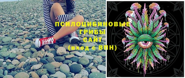 2c-b Лагань