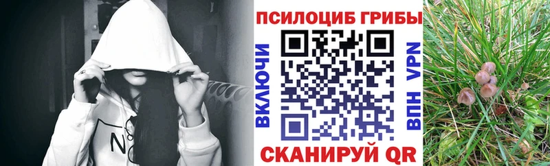 Купить закладки  Апрелевка  Псилоцибиновые грибы MAGIC MUSHROOMS 