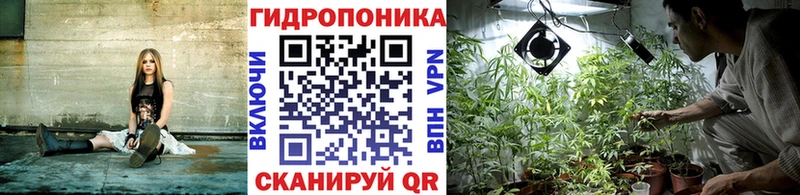 Купить закладки  Апрелевка  Бошки марихуана семена 